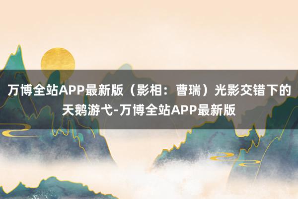 万博全站APP最新版（影相：曹瑞）光影交错下的天鹅游弋-万博全站APP最新版