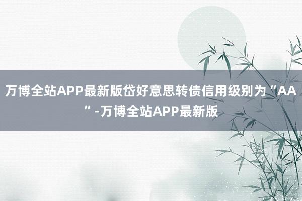 万博全站APP最新版岱好意思转债信用级别为“AA”-万博全站APP最新版