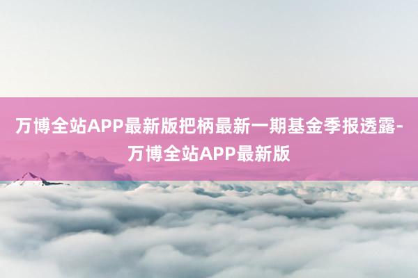 万博全站APP最新版把柄最新一期基金季报透露-万博全站APP最新版