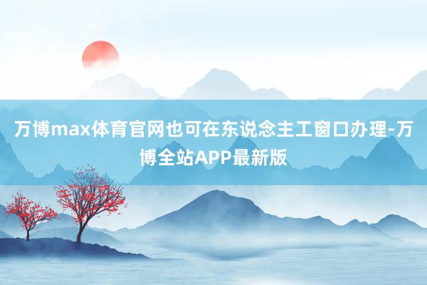 万博max体育官网也可在东说念主工窗口办理-万博全站APP最新版