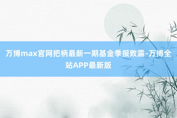 万博max官网把柄最新一期基金季报败露-万博全站APP最新版
