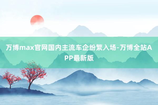 万博max官网国内主流车企纷繁入场-万博全站APP最新版