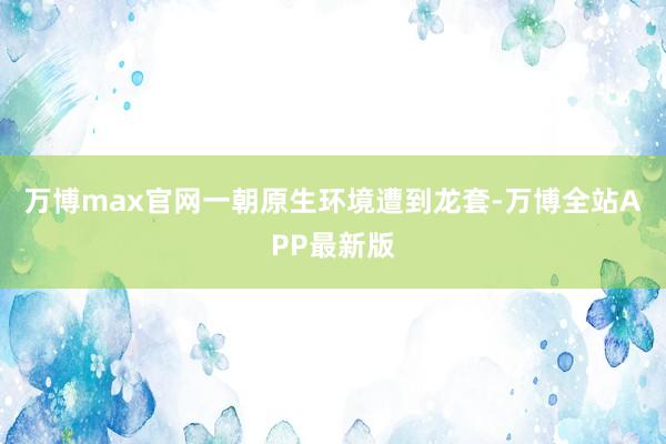 万博max官网一朝原生环境遭到龙套-万博全站APP最新版