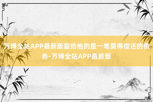万博全站APP最新版留给他的是一堆莫得偿还的债务-万博全站APP最新版