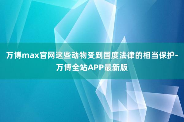 万博max官网这些动物受到国度法律的相当保护-万博全站APP最新版