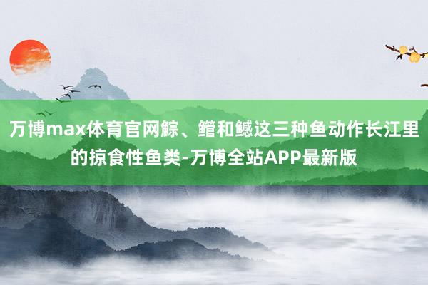 万博max体育官网鯮、鳤和鳡这三种鱼动作长江里的掠食性鱼类-万博全站APP最新版